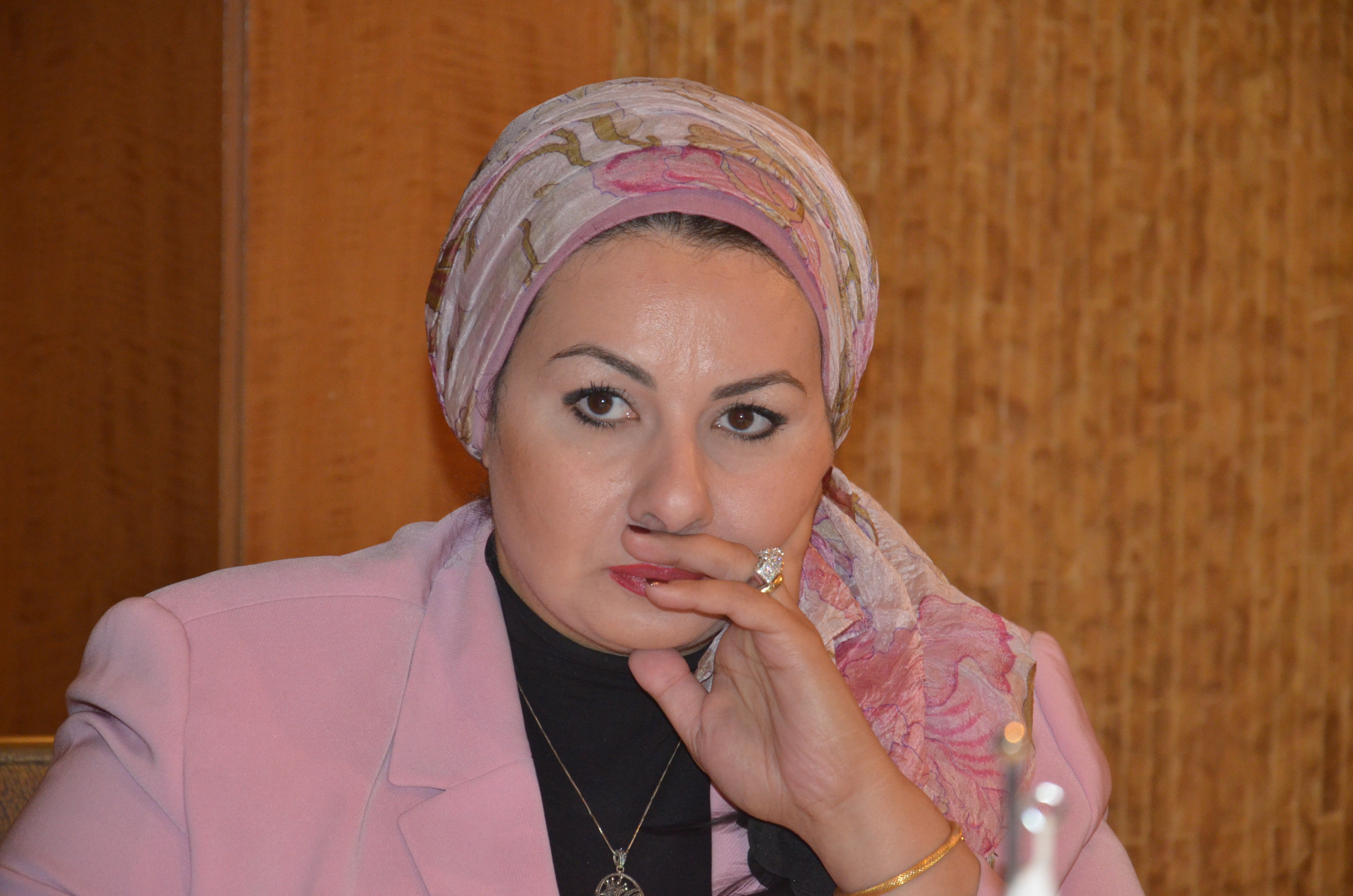 United Bank to issue investors guide on Egyptian land: Germeen Amer ...