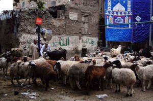 Eid-Al Adha marks the end of the pilgrimage season for Muslims (Photo by Hassan Ibrahim )