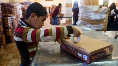 Date production: Egypt’s finest trade coming from its most remote oases