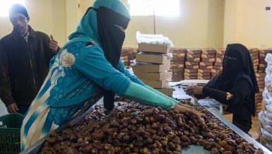 Date production: Egypt’s finest trade coming from its most remote oases