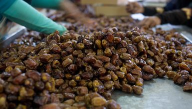 Date production: Egypt’s finest trade coming from its most remote oases