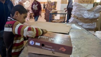 Date production: Egypt’s finest trade coming from its most remote oases