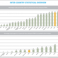 FGM statistics according to WHO