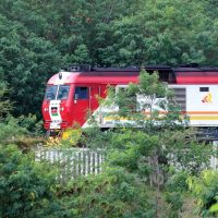 Chinese-built modern railway plays key role in promoting Kenya's economic growth, says official