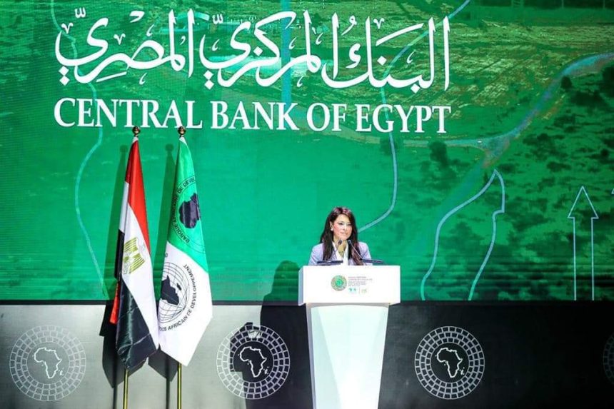 Available climate funds meet 14% of global financing needs: Al-Mashat