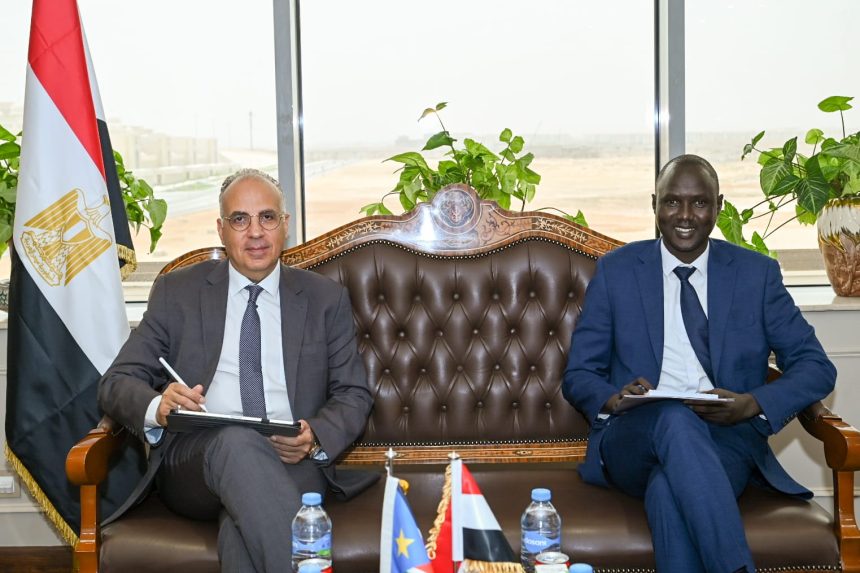 Egypt, Zimbabwe, and South Sudan discuss cooperation in water sector