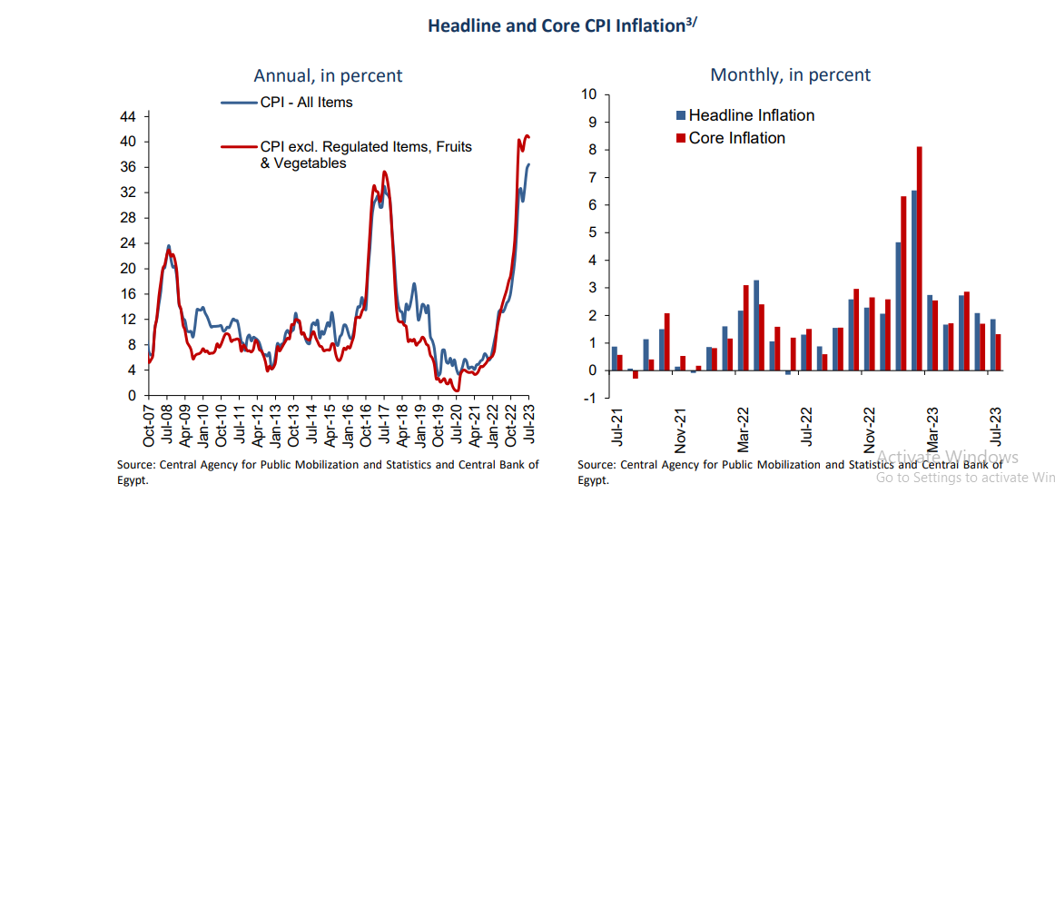 Why Egypt’s core inflation declines in July 2023? - Dailynewsegypt