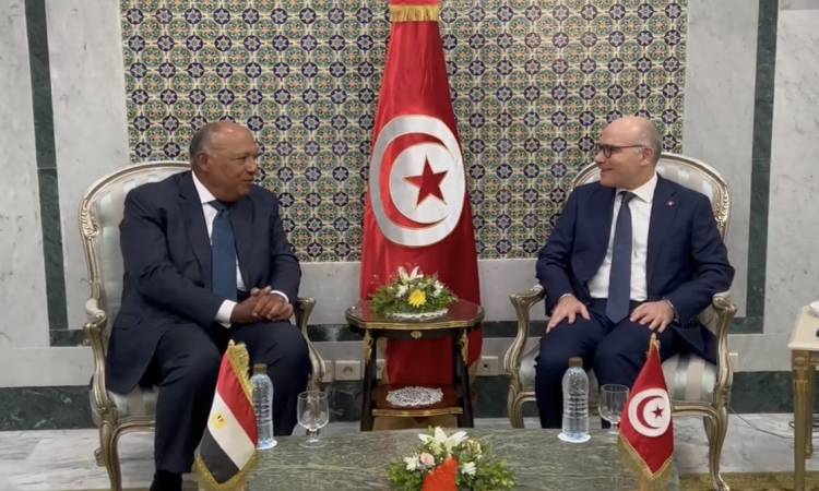 Egypt supports Tunisian President Kais Saied’s actions to build better future: FM Shoukry