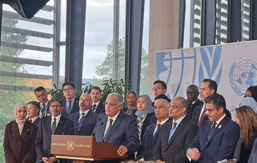 Egypt, 71 other countries issue urgent appeal for Gaza ceasefire, humanitarian aid