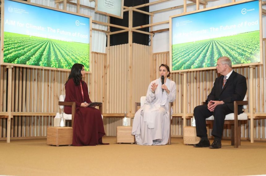 COP28: AIM for Climate announces $17bn initiative backed by Egypt 