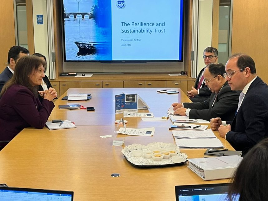 Finance Minister discusses economic progress, continued reforms with IMF Egypt Mission Chief