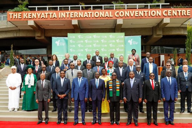 African leaders pledge to increase local fertiliser production