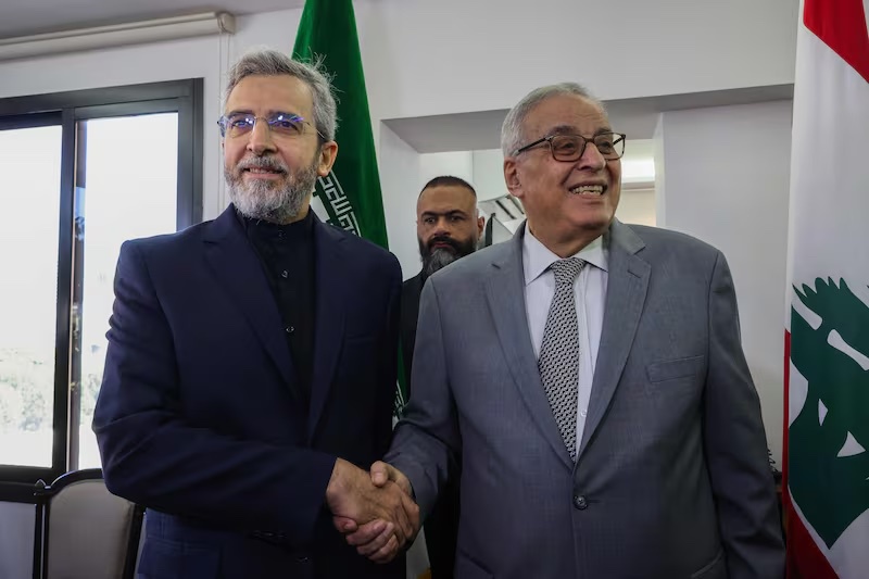 Iranian FM proposes emergency OIC meeting for confronting Israeli offensive in Gaza