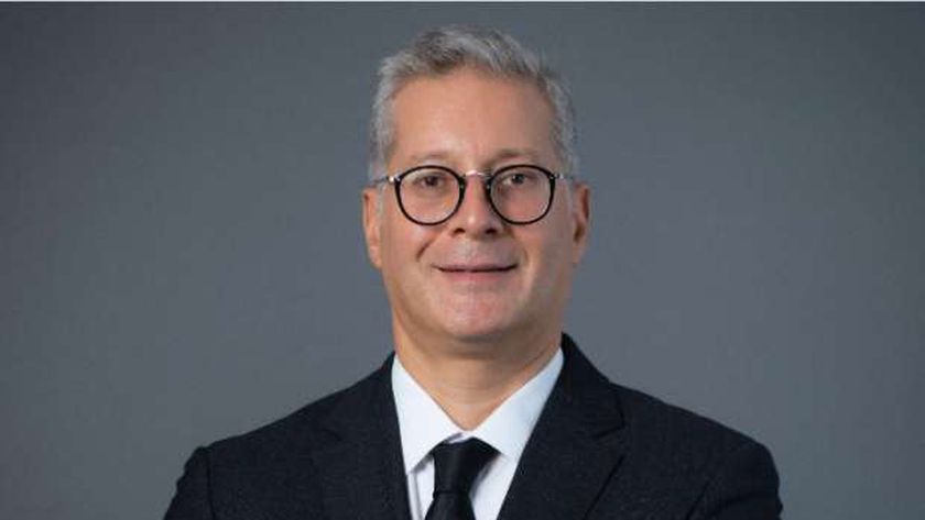 Egypt names Karim Badawi as Minister of Petroleum, Mineral Resources -  Dailynewsegypt