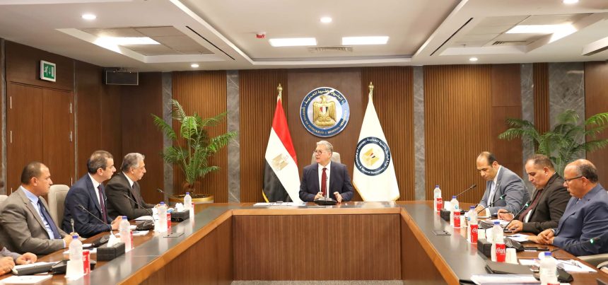 Egyptian Petroleum Minister holds talks on strategies to boost oil, gas output