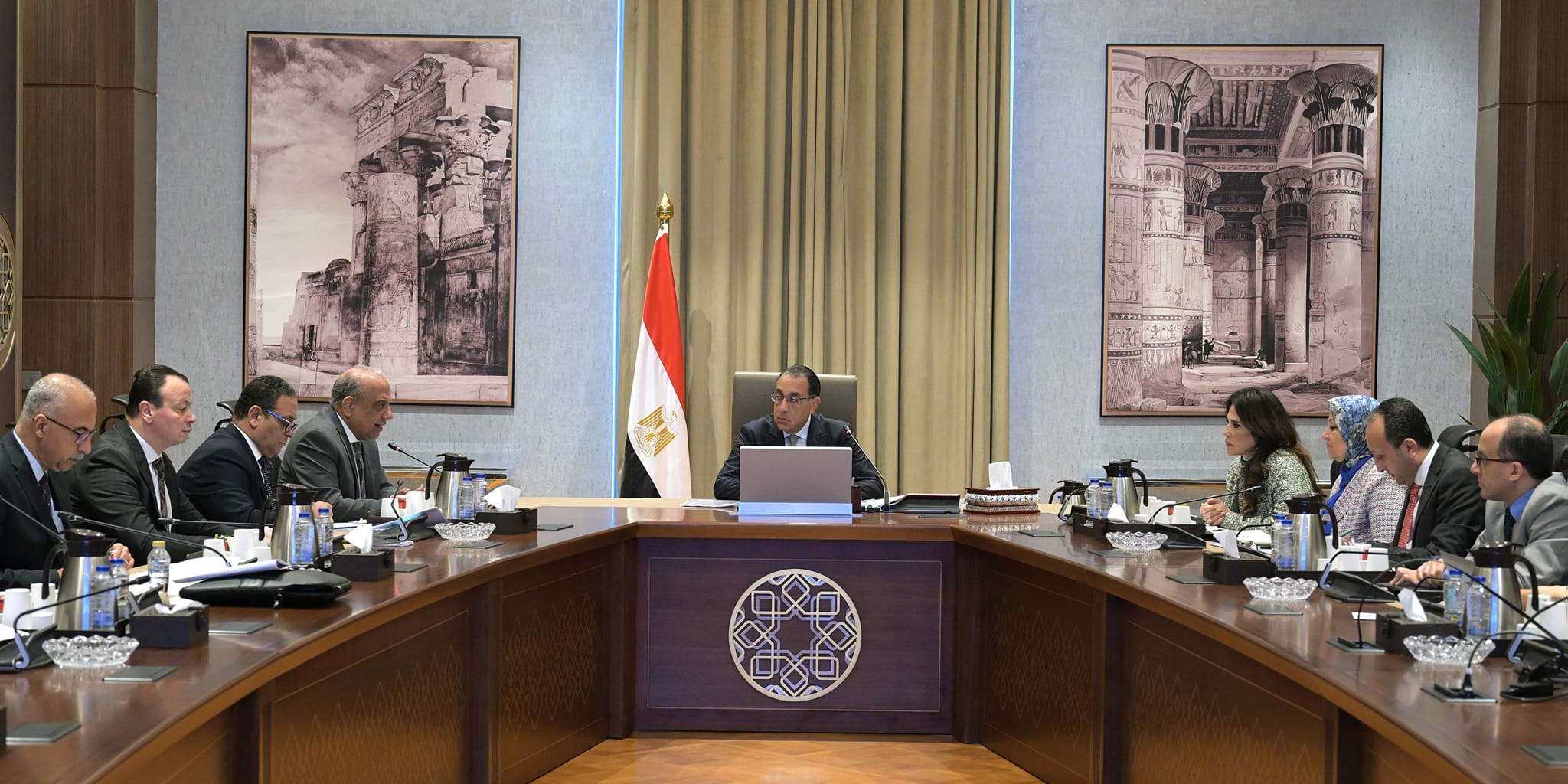 Egyptian Prime Minister reviews electricity sector project progress ...