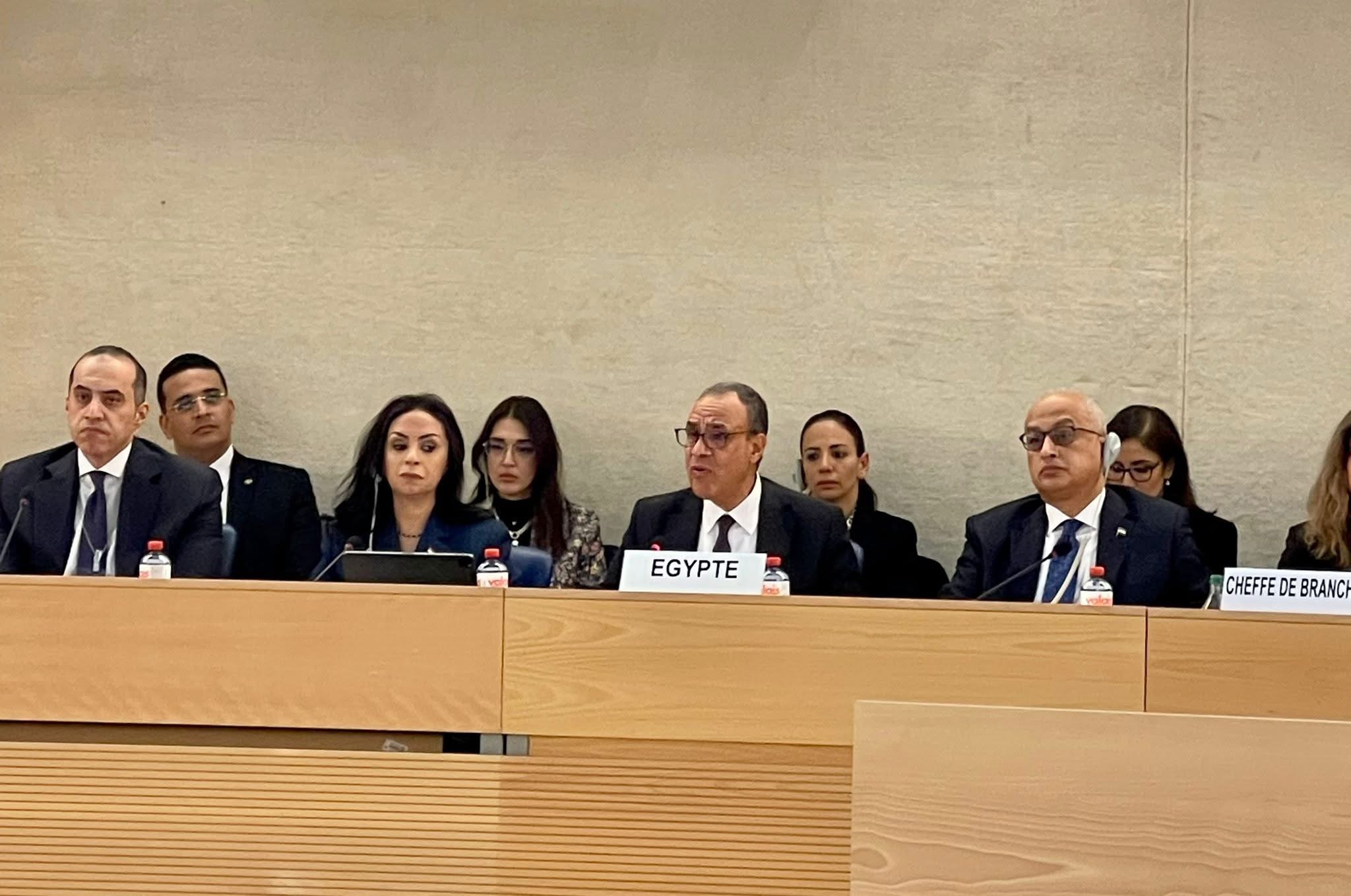 Egypt highlights human rights progress at UN review - Dailynewsegypt