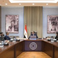 Geely Auto to open Egyptian factory with plans for regional export hub