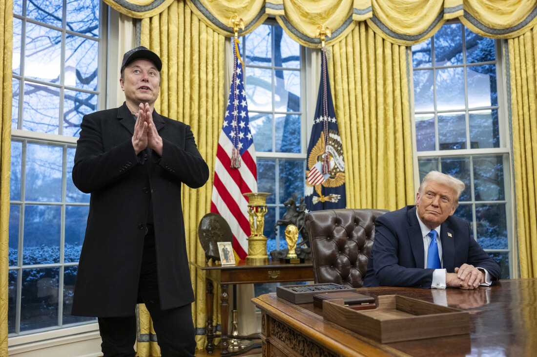 Opinion | “Milk America's Gold Again” (MAGA)—Trump and Musk's Fake Revolution to Plunder the U.S - Dailynewsegypt