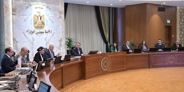 Cabinet approves private free zone project for metro parts, cables in Borg El Arab