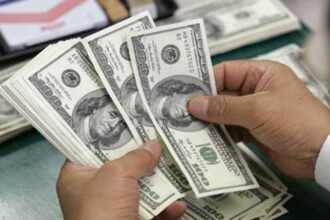 CBE receives $1.17bn in bids for dollar-denominated T-bills auction