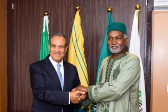 Egypt's FM seeks deeper economic, security ties on five-nation West Africa tour
