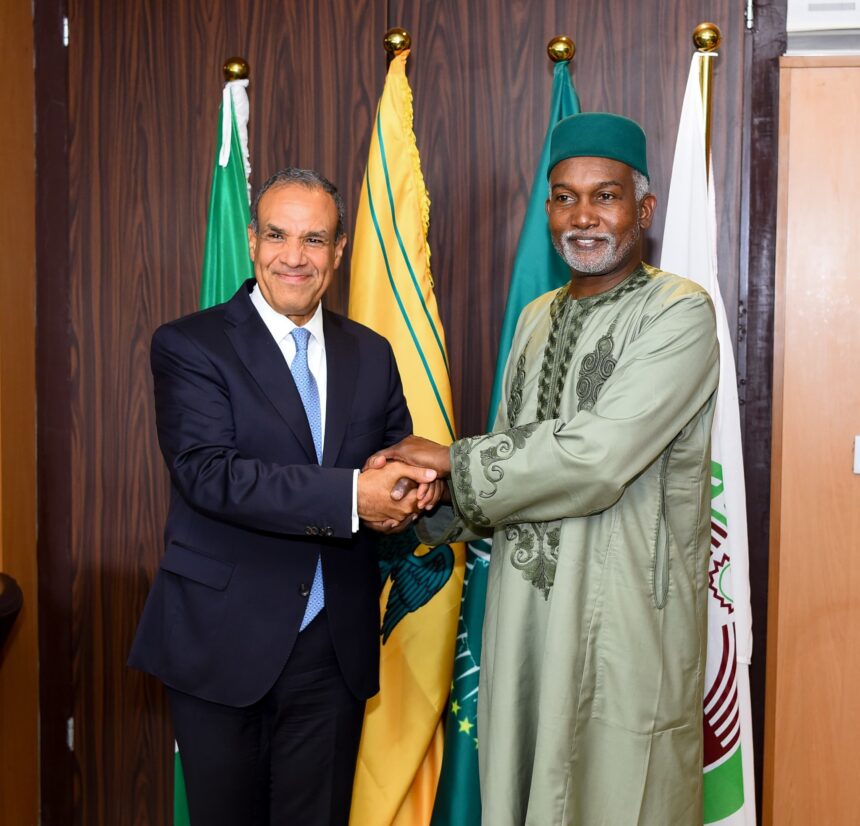 Egypt's FM seeks deeper economic, security ties on five-nation West Africa tour