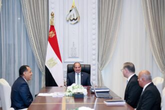 Al-Sisi urges accelerated oil, gas discoveries, lower import bill