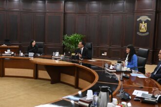 Egypt, Germany discuss strengthening cooperation and the Gaza crisis