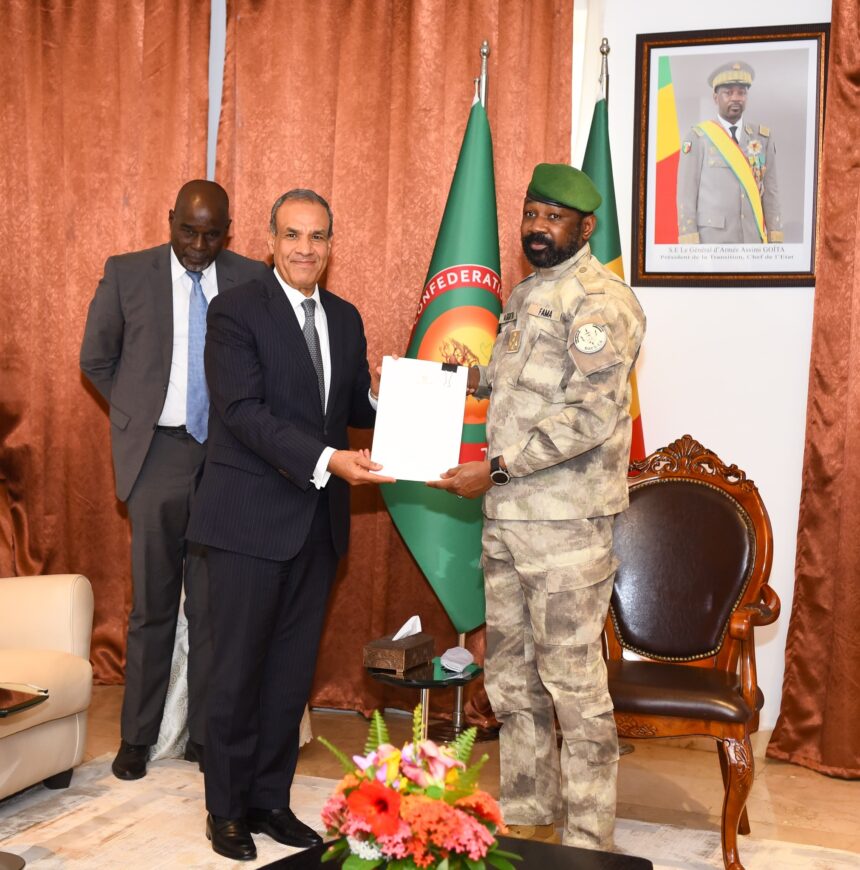 Egyptian foreign minister delivers Al-Sisi message to Mali's Goïta