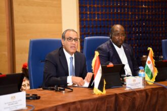 Egypt's foreign minister opens business forum in Niger, targets new partnerships