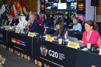 Egypt calls for greater private sector role, debt swaps at G20 meeting