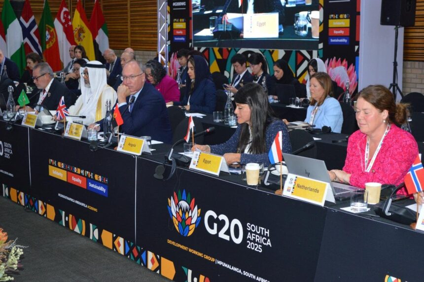 Egypt calls for greater private sector role, debt swaps at G20 meeting