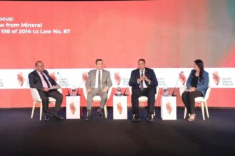 Egypt mining law overhaul to transform mineral authority into economic body