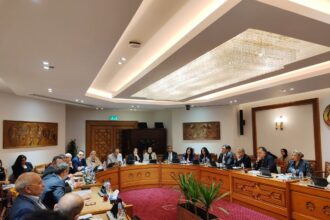 Egypt's committee on African relations discusses boosting ties, new projects