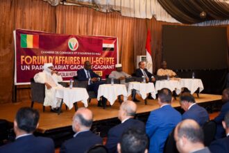 Egyptian-Malian Business Forum pushes for economic partnerships with Mali during FM's visit