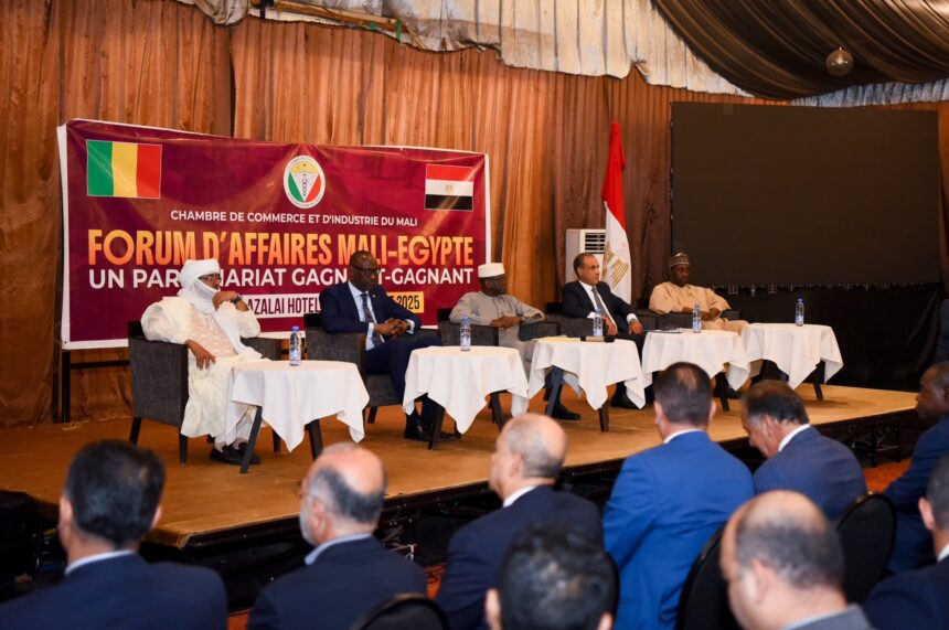 Egyptian-Malian Business Forum pushes for economic partnerships with Mali during FM's visit