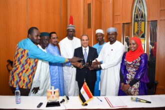 Egypt's FM highlights 'soft power' in Mali meeting with alumni