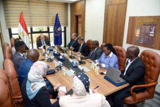 Egyptian Drug Authority discusses plans for joint pharmaceutical plant in Zambia