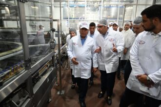 Egypt targets self-sufficiency in porcelain products with private sector support