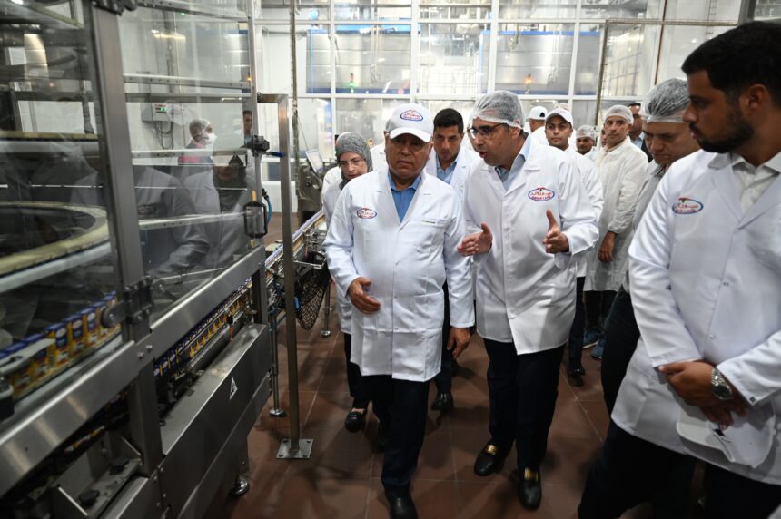 Egypt targets self-sufficiency in porcelain products with private sector support