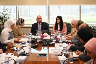 Egypt considers launching national platform to mobilise green financing for private-sector industrial transformation