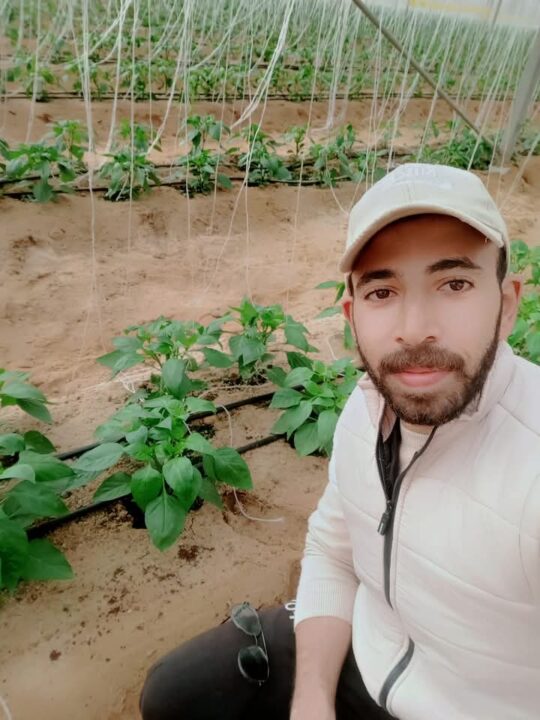 Internet of Things helps fight crop diseases sustainably: Egyptian phytopathologist
