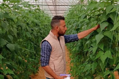 Internet of Things helps fight crop diseases sustainably: Egyptian phytopathologist