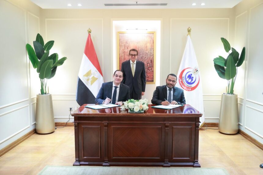 Egypt strengthens healthcare partnerships to enhance maternity, multiple sclerosis, and stroke care