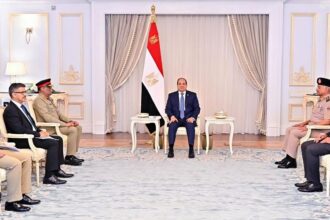 Egypt's Al-Sisi, Pakistani military chief discuss security cooperation, Gaza