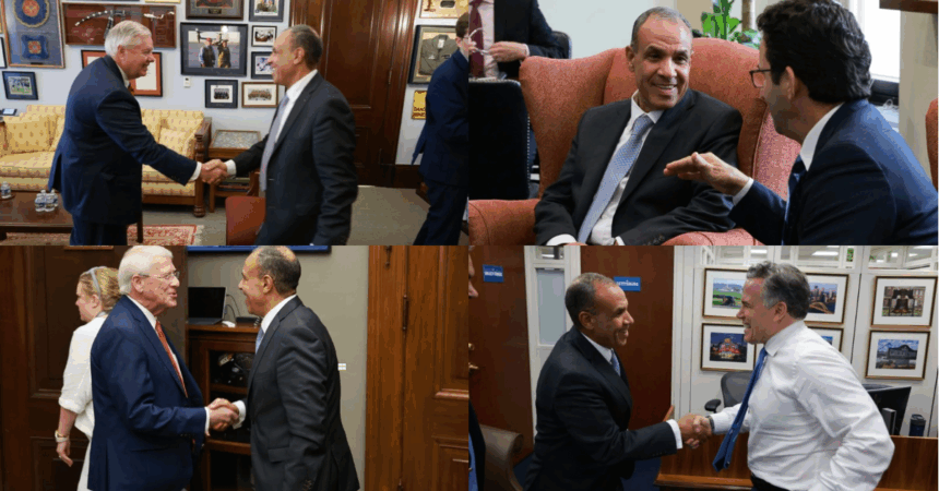 Egypt's FM discusses Gaza, Nile dam with US senators