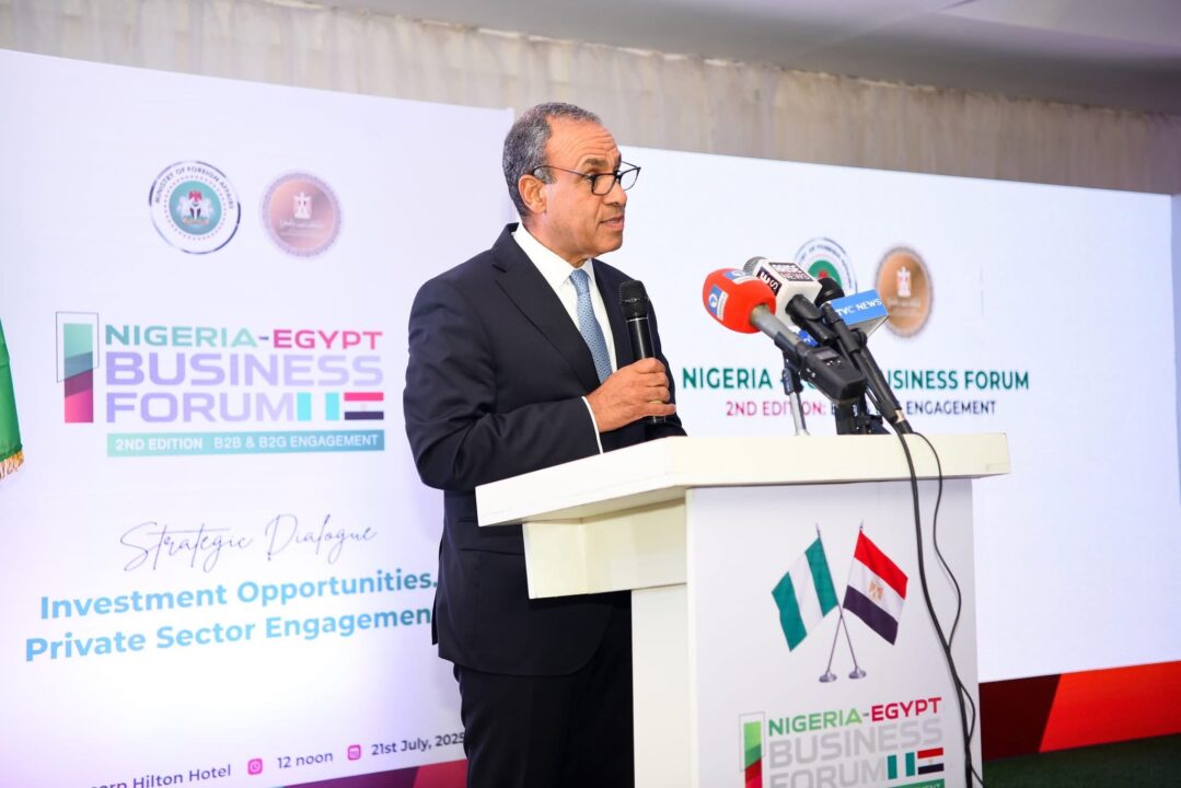 Egyptian Foreign Minister Badr Abdelatty