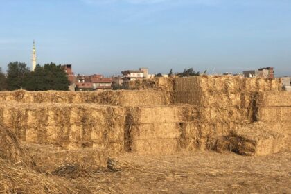 Egypt prepares to tackle seasonal air pollution in Nile Delta