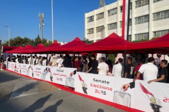 Egyptians vote in two-day Senate election with key list unopposed
